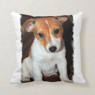 Almofada Travesseiro de Jack Russell Terrier