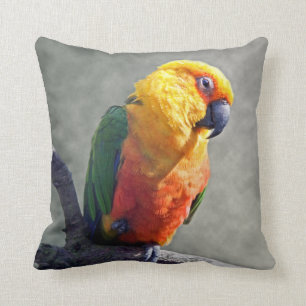 Almofada Travesseiro de Jenday Conure