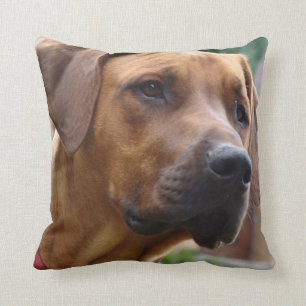 Almofada Travesseiro de Rhodesian Ridgeback