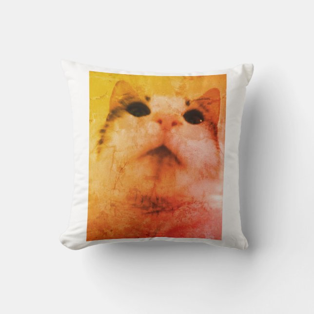 Almofada Travesseiro de Sonhos de Gato Louco (Frente)