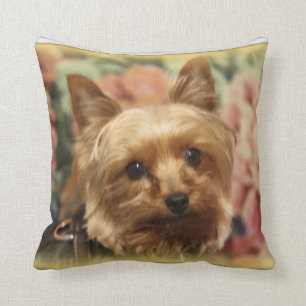 Almofada Travesseiro de Yorkie