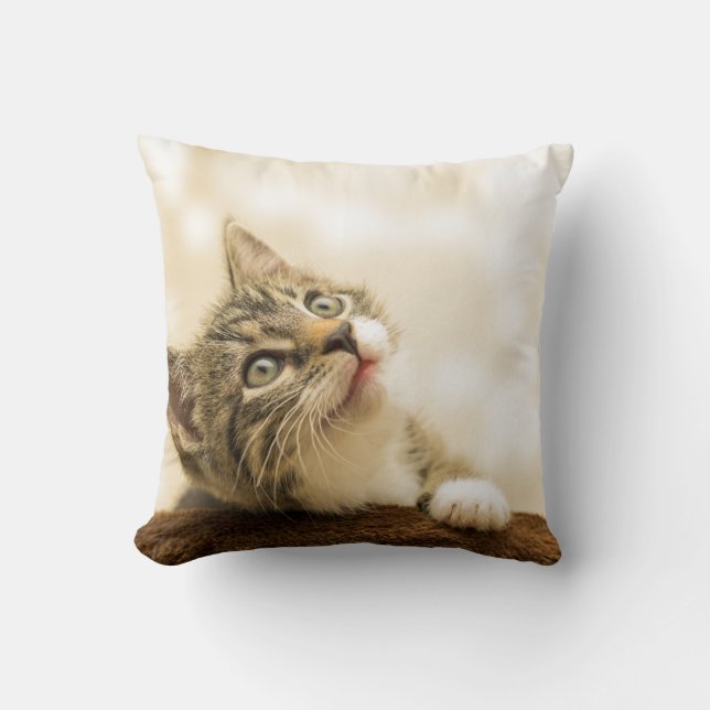 Almofada Travesseiro decorativo 16" x 16" (Frente)