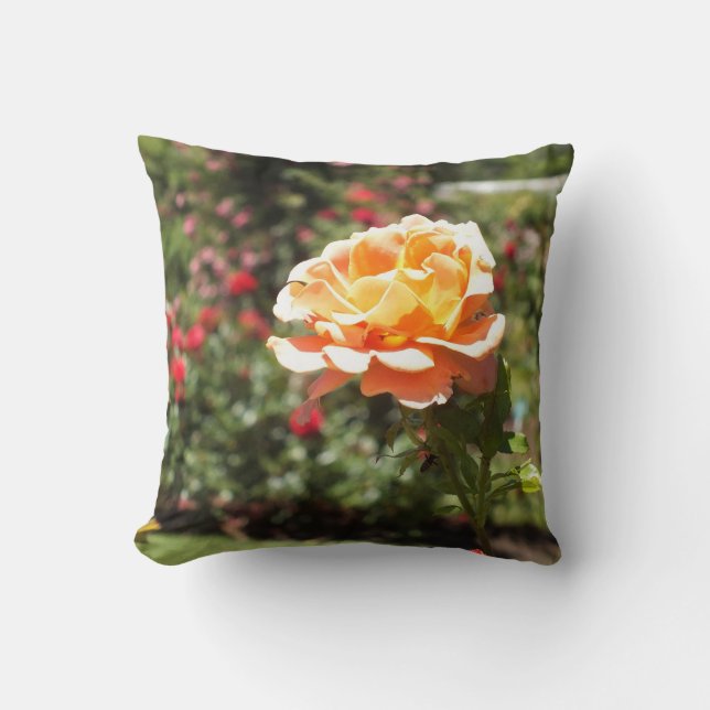 Almofada Travesseiro decorativo Apricot Rosa (Frente)
