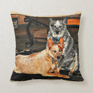 Almofada Travesseiro decorativo azul/vermelho de Heeler