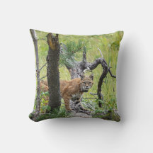 Travesseiro decorativo Bobcat