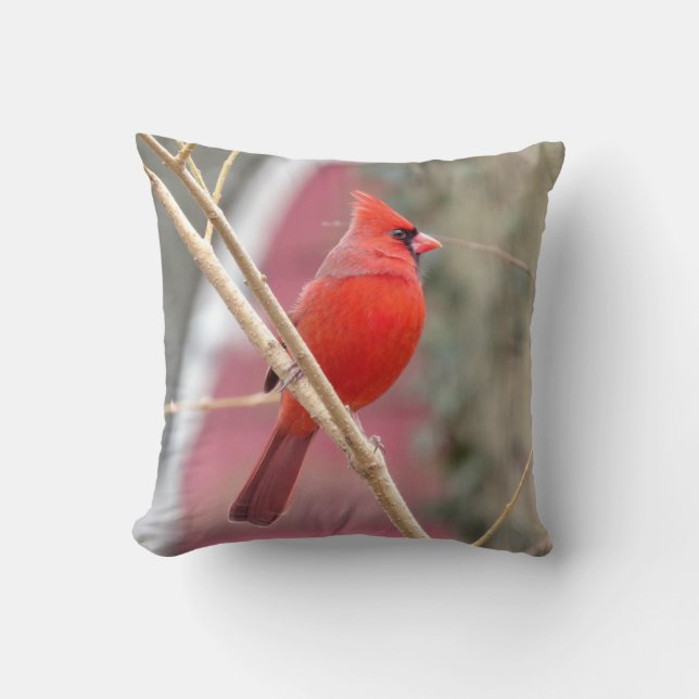 Almofada Travesseiro decorativo Cardinal Vermelho (Frente)