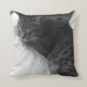 Almofada Travesseiro decorativo da foto do gato do sono
