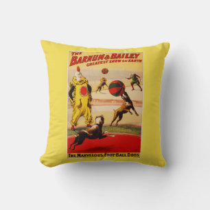 Almofada TRAVESSEIRO DECORATIVO DE ALGODÃO 16" x BARNUM E B