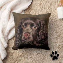Travesseiro decorativo de Chocolate Cocker Spaniel
