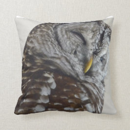 Almofada Travesseiro decorativo de coruja