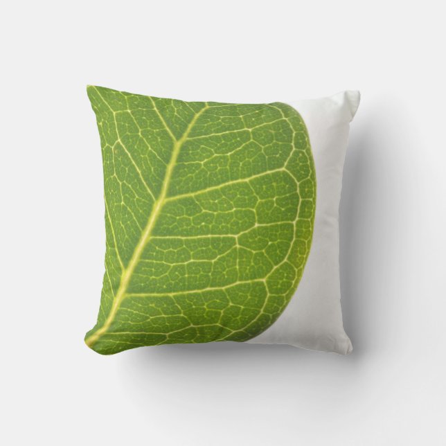 Almofada Travesseiro decorativo de Cushion Verde Rich Fig (Frente)
