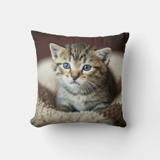 Almofada Travesseiro decorativo de gatos