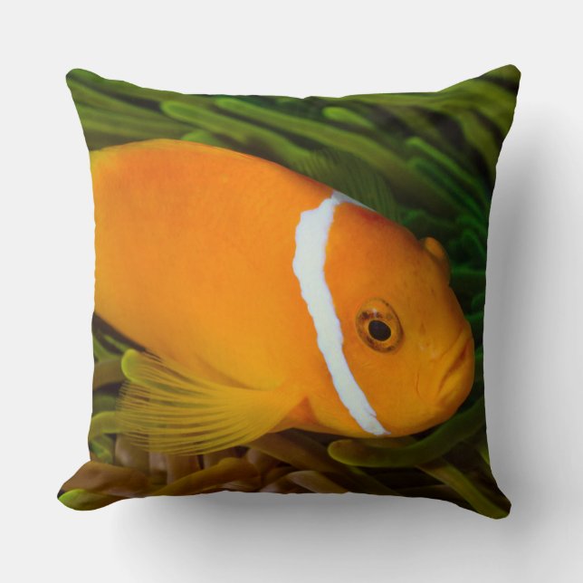 Almofada Travesseiro decorativo de Peixe Trópico (Frente)