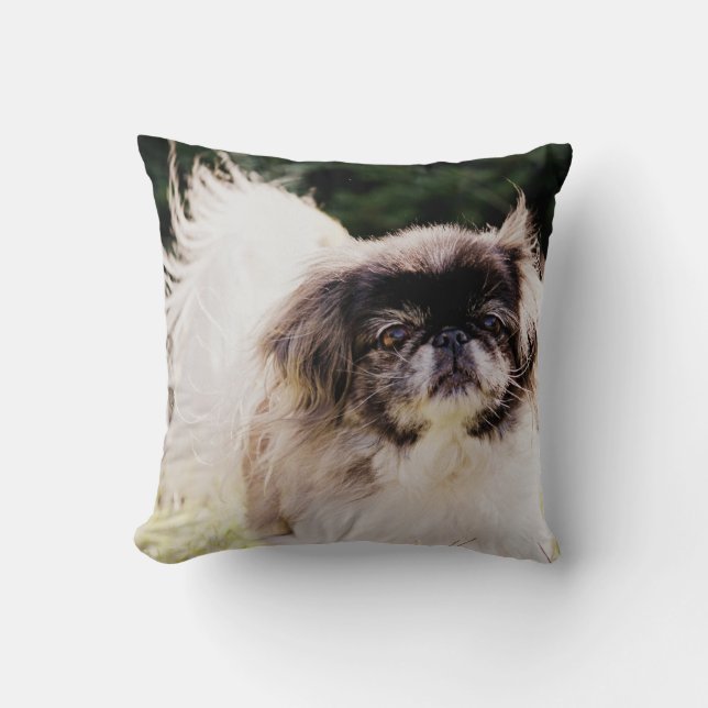 Almofada Travesseiro decorativo de Pekingese (Frente)