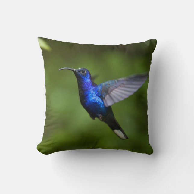 ALMOFADA TRAVESSEIRO DECORATIVO DO COLIBRI (Frente)