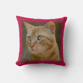 Almofada Travesseiro decorativo do gato do gengibre
