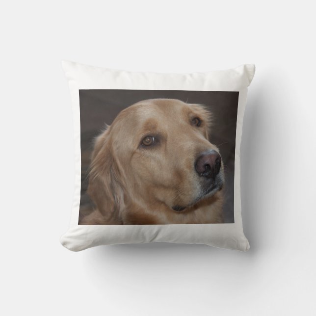 Almofada Travesseiro decorativo do golden retriever (Frente)