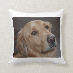 Almofada Travesseiro decorativo do golden retriever