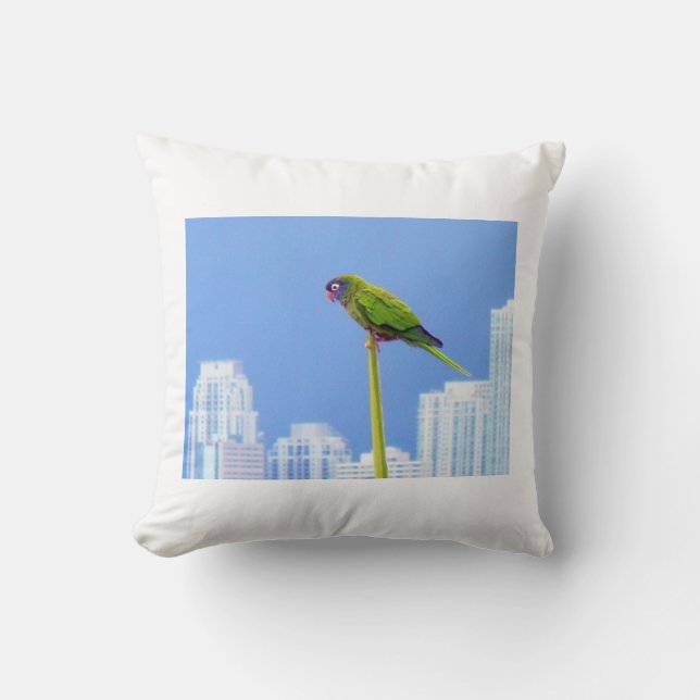 Almofada ~TRAVESSEIRO DECORATIVO do Parrot~, PERSONALIZE A  (Frente)