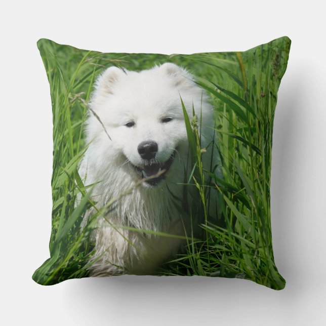 Almofada Travesseiro decorativo do Samoyed (Frente)