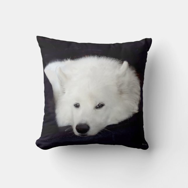 Almofada Travesseiro decorativo do Samoyed: Escolha de (Frente)
