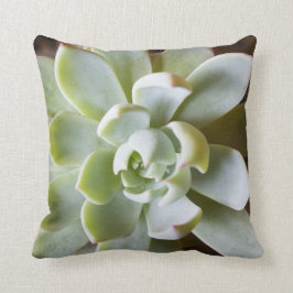 Almofada Travesseiro decorativo do Succulent