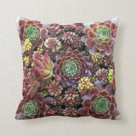 Almofada Travesseiro decorativo do Succulent
