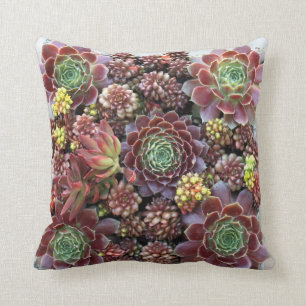 Almofada Travesseiro decorativo do Succulent