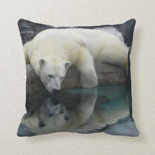 Almofada Travesseiro decorativo do urso polar. Fotografia