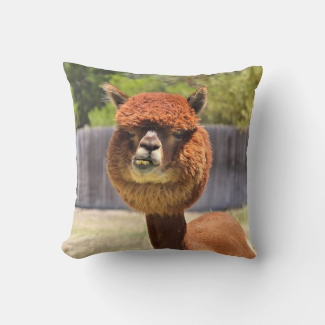Almofada Travesseiro decorativo engraçado da alpaca (Frente)