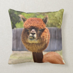 Almofada Travesseiro decorativo engraçado da alpaca