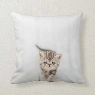 Almofada Travesseiro decorativo exótico persa bonito trist