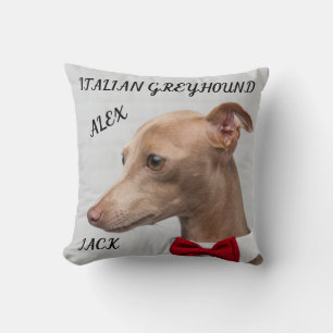 ALMOFADA TRAVESSEIRO DECORATIVO GREYHOUND ITALIANO COM NOME