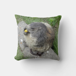 Almofada Travesseiro decorativo Marmot