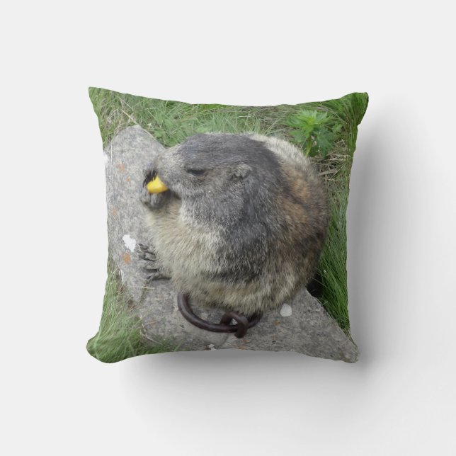 Almofada Travesseiro decorativo Marmot (Frente)
