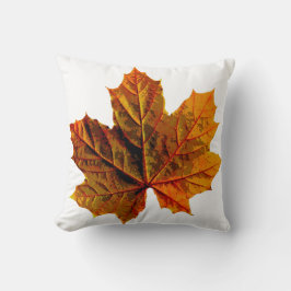 Almofada Travesseiro decorativo para cada sala