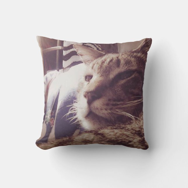 Almofada Travesseiro decorativo sonolento da foto | do gato (Frente)