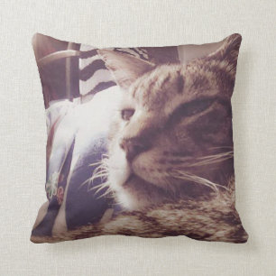 Almofada Travesseiro decorativo sonolento da foto do gato