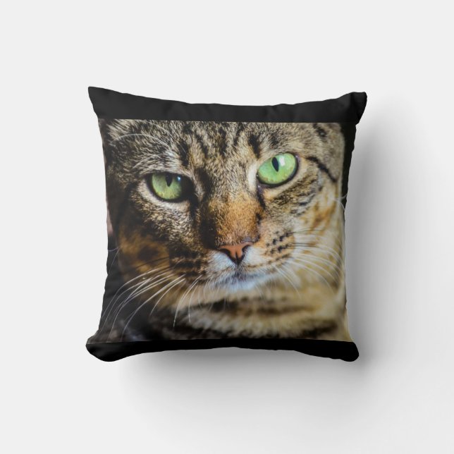 Almofada Travesseiro decorativo Tabby Cat (Frente)