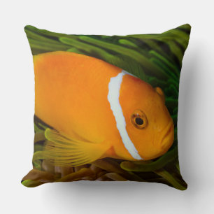 Almofada Travesseiro decorativo tropico dos peixes
