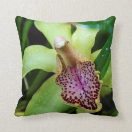 Almofada Travesseiro decorativo verde da orquídea