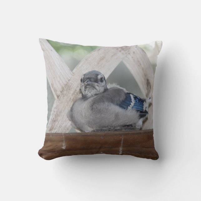 Almofada Travesseiro do Baby Blue Jay (Frente)