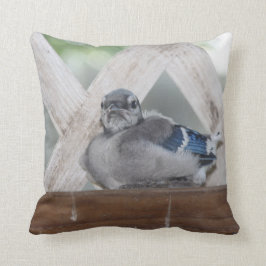 Almofada Travesseiro do Baby Blue Jay