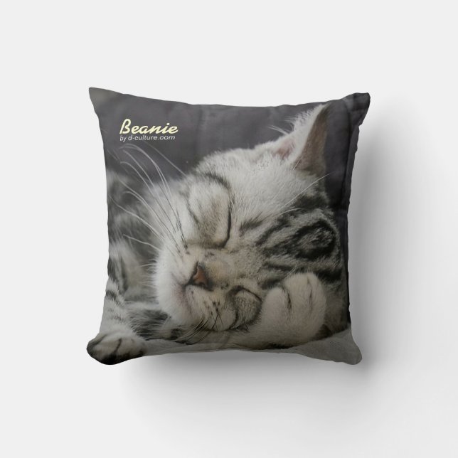 Almofada Travesseiro do Beanie (Frente)