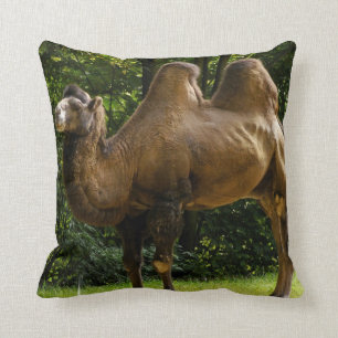Almofada Travesseiro do camelo dois Humped