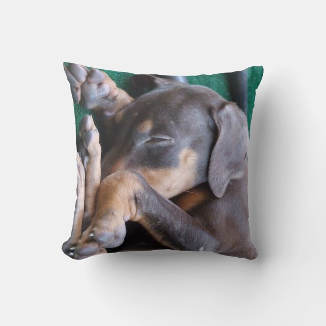 Almofada Travesseiro do filhote de cachorro do Pinscher do (Frente)