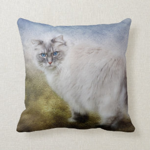 Almofada Travesseiro do gato de Ragdoll
