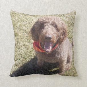 Almofada travesseiro do labradoodle