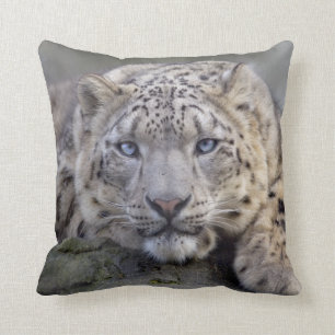 Almofada Travesseiro do leopardo de neve de Vishnu