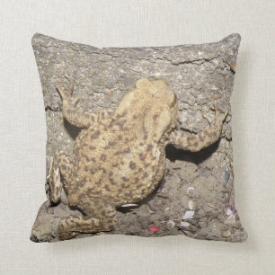Almofada Travesseiro do Toad de Rastreamento de Cute
